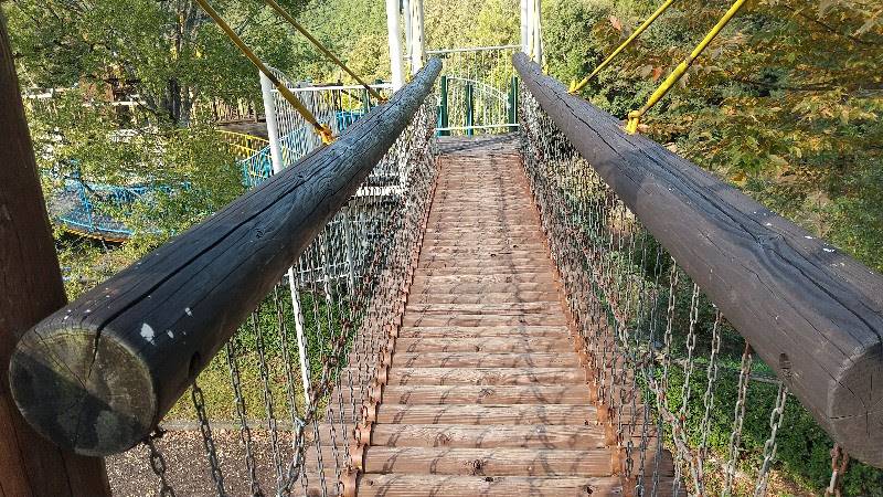 愛媛県内子町城の台公園揺れる吊り橋
