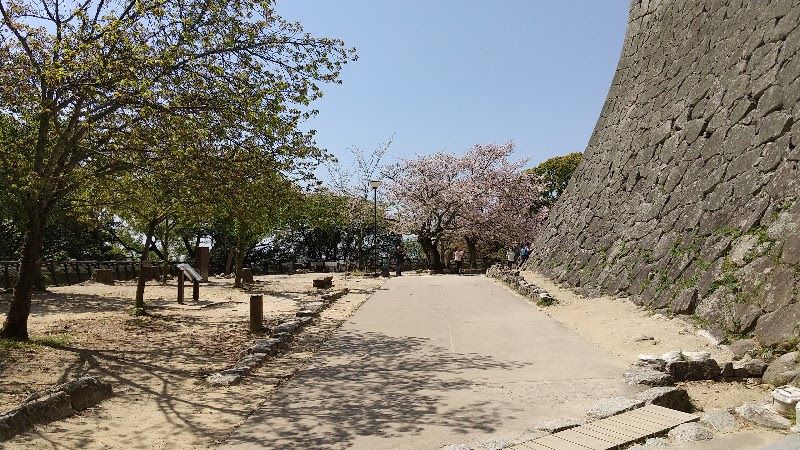 松山城の満開の桜