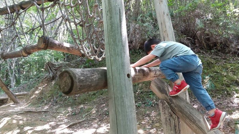 えひめ森林公園フィールドアスレチック4. 臥竜淵の丸太やネットを渡る