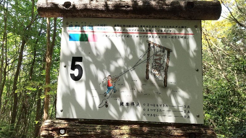 えひめ森林公園フィールドアスレチック5. 鹿野川湖