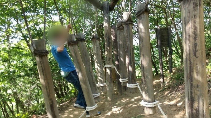 えひめ森林公園フィールドアスレチック18.孟宗竹林の丸太に抱き着きながら進む