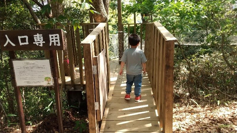 えひめ森林公園のキャノピーウォーク (吊り橋)入り口