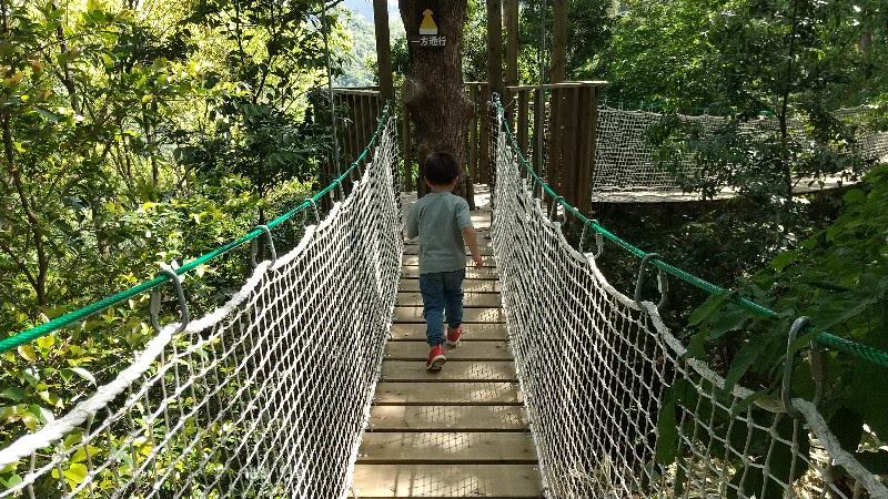 えひめ森林公園のキャノピーウォーク (吊り橋)