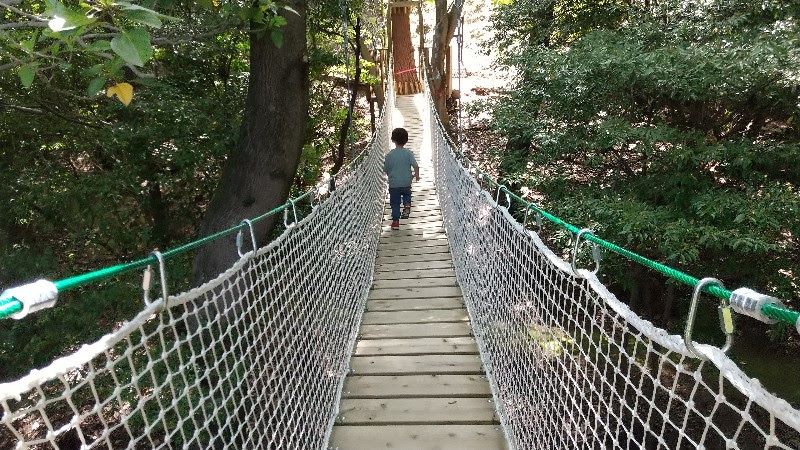えひめ森林公園のキャノピーウォーク