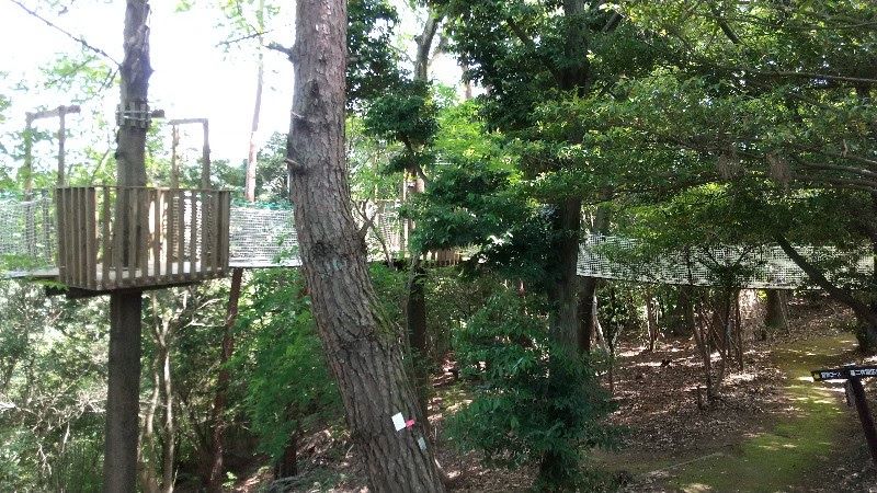 えひめ森林公園のキャノピーウォーク (吊り橋)
