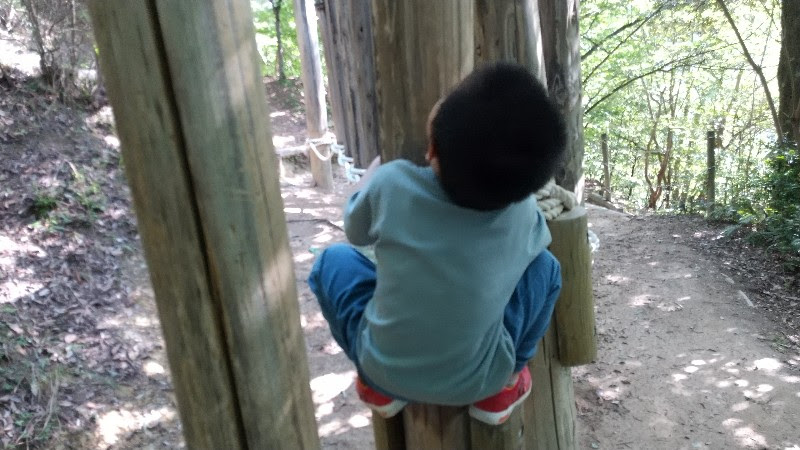 えひめ森林公園フィールドアスレチック18.孟宗竹林の丸太に抱き着く