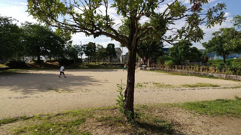 松山市の水遊び＆川遊びができる人気スポット「杖ノ淵公園」多目的グラウンド