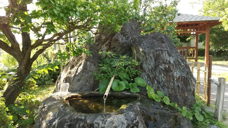 松山市の水遊び＆川遊びができる人気スポット「杖ノ淵公園」の湧水