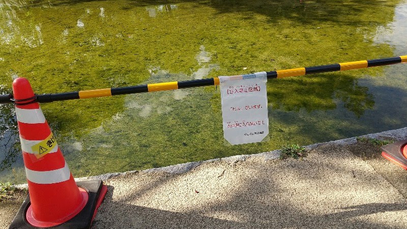 松山市の水遊び＆川遊びができる人気スポット「杖ノ淵公園」親水広場の「立入禁止区域」