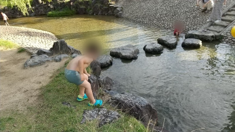 松山市の水遊び＆川遊びができる人気スポット「杖ノ淵公園」親水広場の「開放区域」