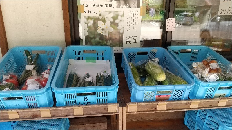 高知県仁淀川の穴場スポット、池川439交流館で販売されている野菜