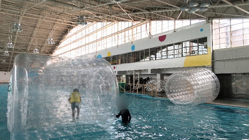愛媛県松山市おすすめのプール「イヨテツスポーツセンターのメインプール」ハムスターローラーで遊ぶ
