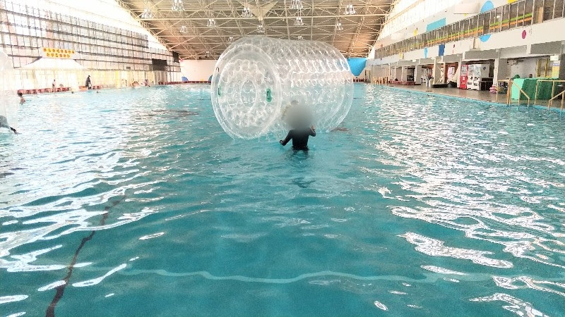 愛媛県松山市おすすめのプール「イヨテツスポーツセンターのメインプール」ハムスターローラーで遊ぶ