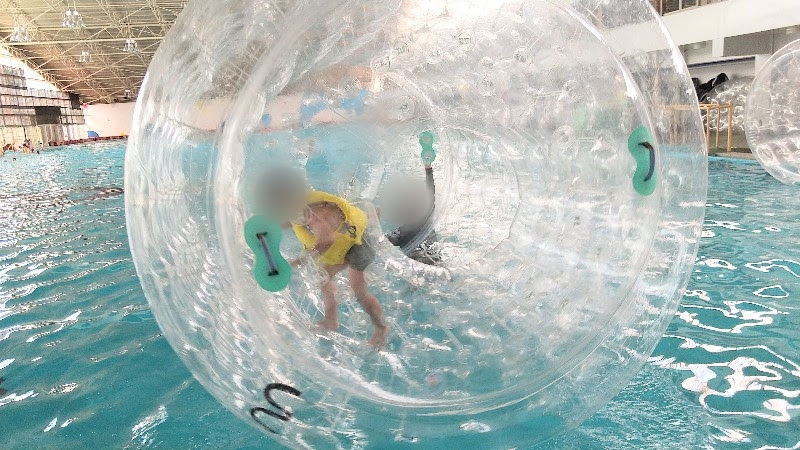 愛媛県松山市おすすめのプール「イヨテツスポーツセンター」のハムスターローラーで遊ぶ