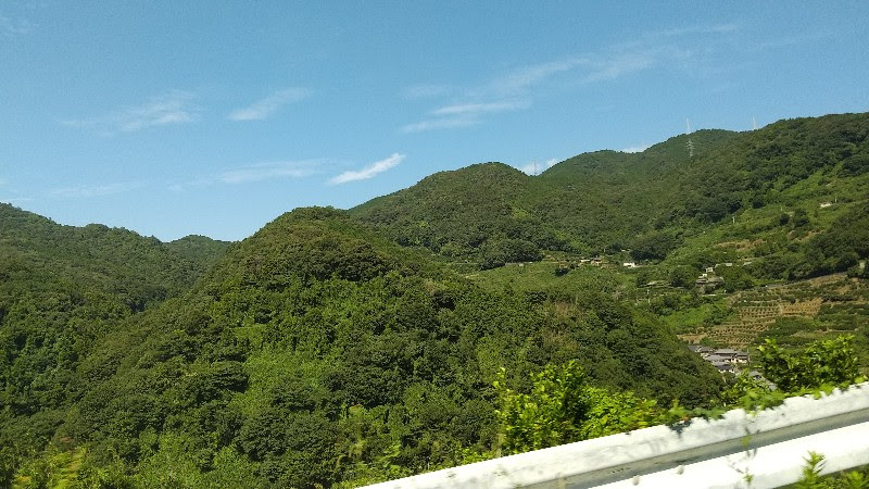 愛媛県おすすめのそうめん流し「平家谷そうめん流し」までの山道