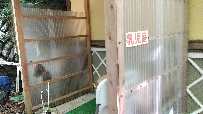 愛媛県おすすめのそうめん流し、八幡浜市保内町「平家谷そうめん流し」の乳児室