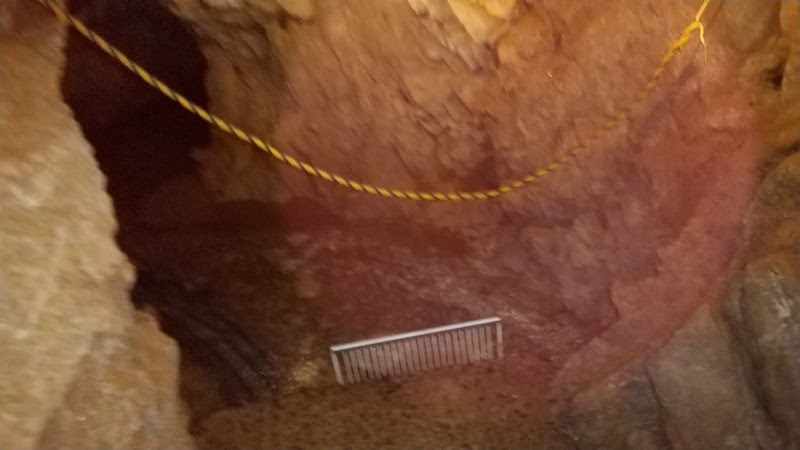 北宇和郡鬼北町のおすすめスポット、安森洞そうめん流しにある鍾乳洞（しょうにゅうどう）で洞窟探検