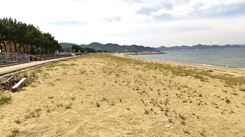 メニュー豊富なおいしいパンが揃う「ぱんやさんRin」からすぐ近くにある松山市堀江海水浴場の砂浜