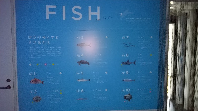 「道の駅 伊方きらら館」バーチャル水族館、きららアクアリウムの魚たち、佐田岬メロディーラインのドライブ中に立ち寄りたいおススメのスポット