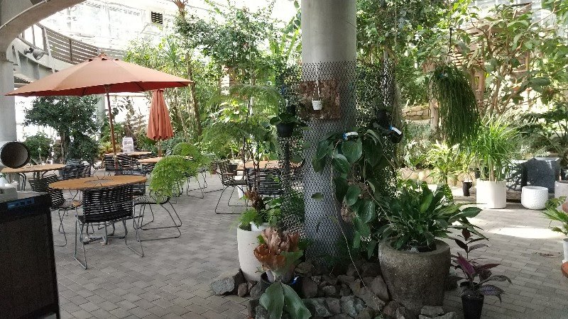 めずらしい観葉植物や多肉植物が鑑賞できる伊予市中山町にある「なかやまフラワーハウス」のカフェテラス、栗の里公園の敷地内・無料の遊び場