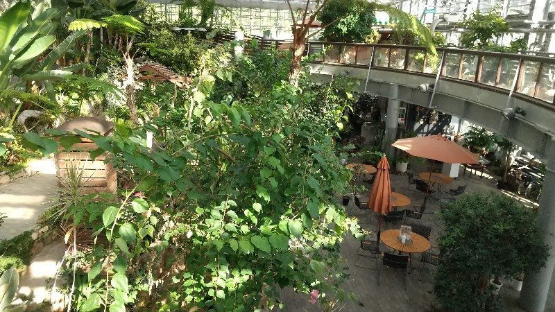 めずらしい観葉植物や多肉植物が鑑賞できる伊予市中山町にある「なかやまフラワーハウス」、栗の里公園の敷地内・無料の遊び場