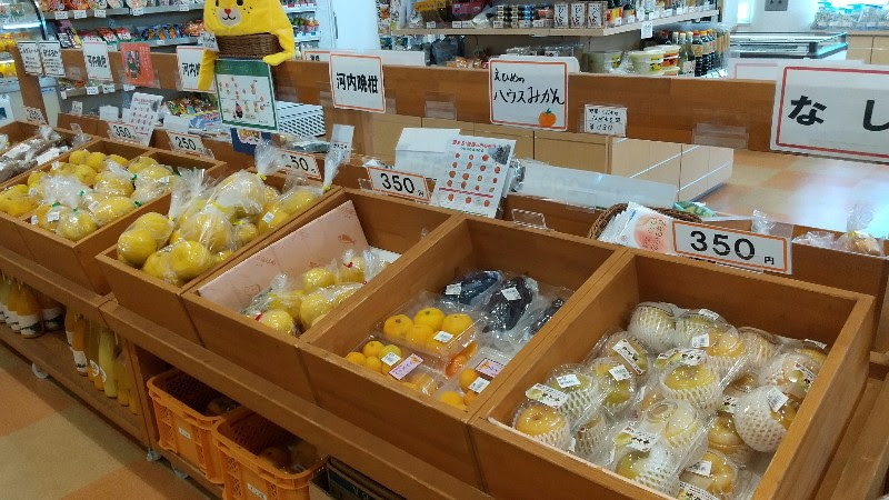 「道の駅 伊方きらら館」特選品販売コーナーの野菜や果物、佐田岬メロディーラインのドライブ中に立ち寄りたいおススメのスポット
