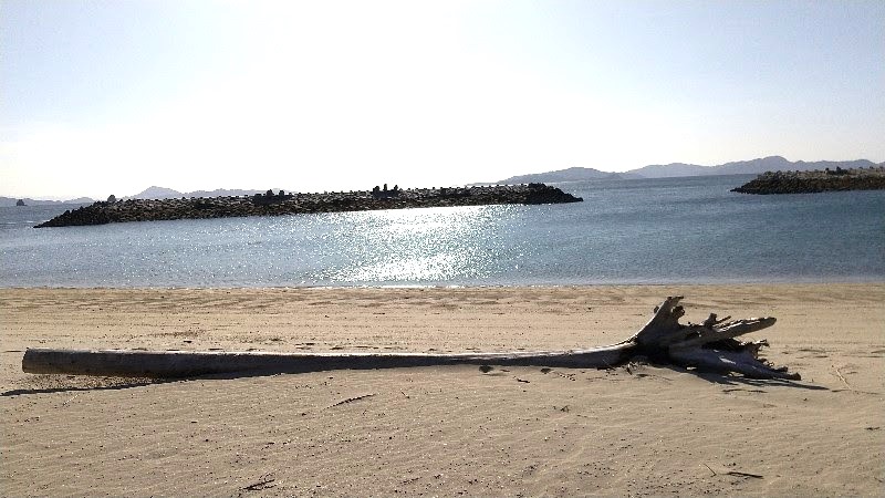 「道の駅　風早の郷　風和里（ふわり）」の目の前にある美しい海水浴場「風早長浜海岸」の景色