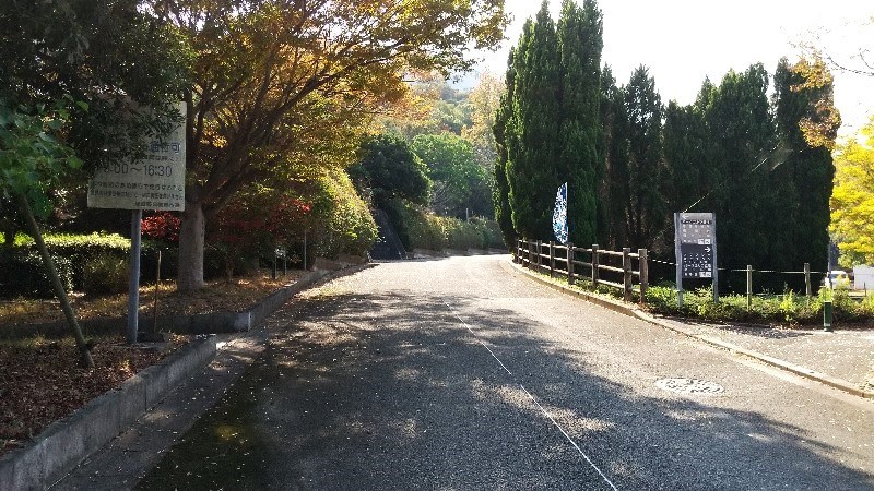 愛媛県今治市にある桜井総合公園の道路