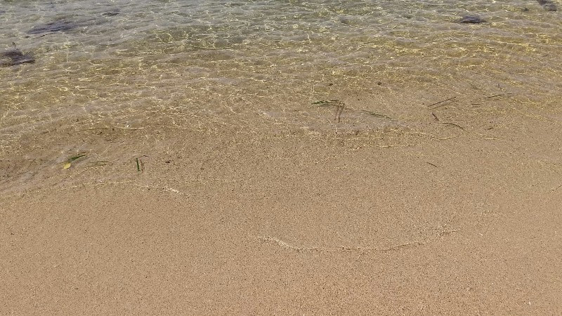 愛媛県おすすめの海水浴場、松山市にある立岩海水浴場（モンチッチ海岸）透明度の高い海水と遠浅で穏やかな瀬戸内海・キレイな砂浜