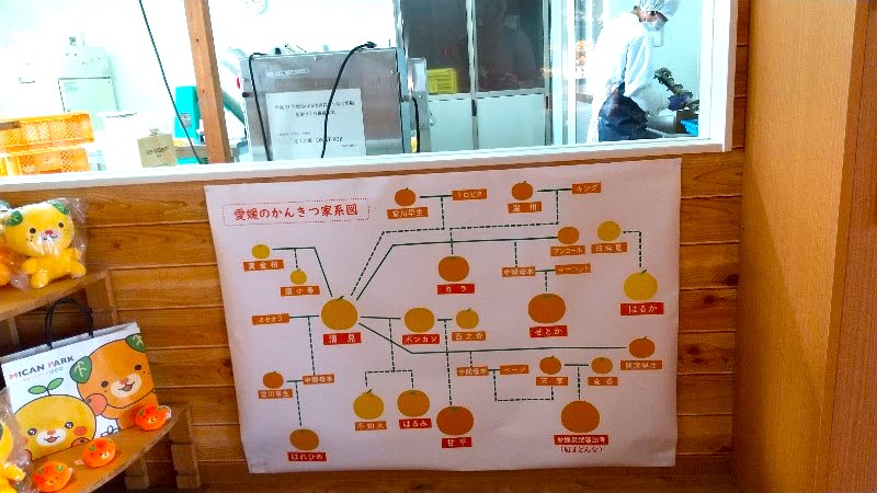 みきゃんパーク 梅津寺の加工場。みきゃんカフェもあり、みきゃんグッズやお土産が揃う、愛媛県松山市おすすめのスポット