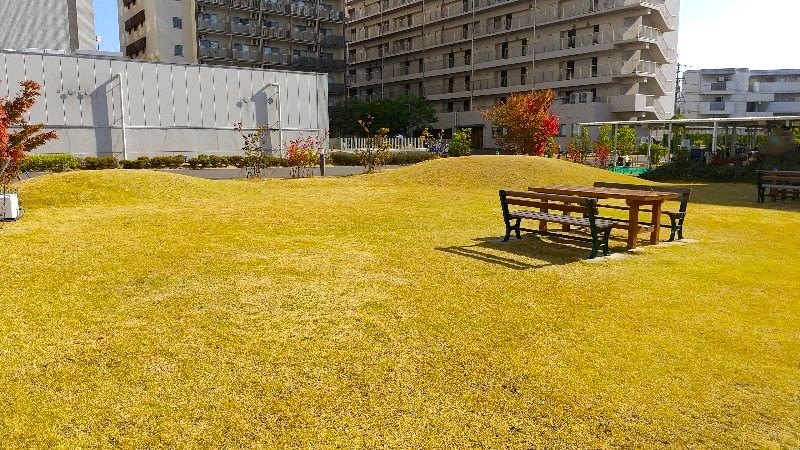 愛媛県立中央病院　屋外休憩スポット、芝生広場