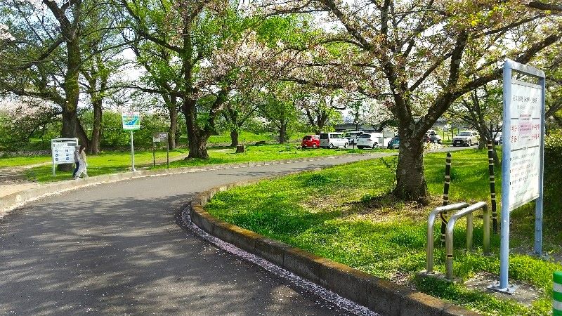 石手川の桜、お花見、石手川緑地の無料の駐車場、永木町1丁目地区