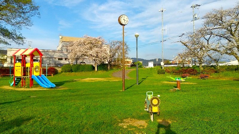 石手川公園駅（最寄り駅）の前にある公園、松山市の桜、お花見におススメのスポット