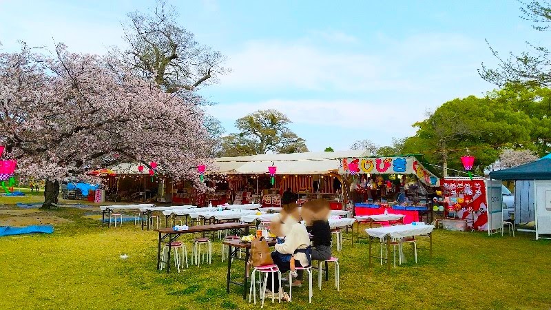 【石手川緑地公園の桜】松山市のお花見おすすめスポット、屋台やお花見会場
