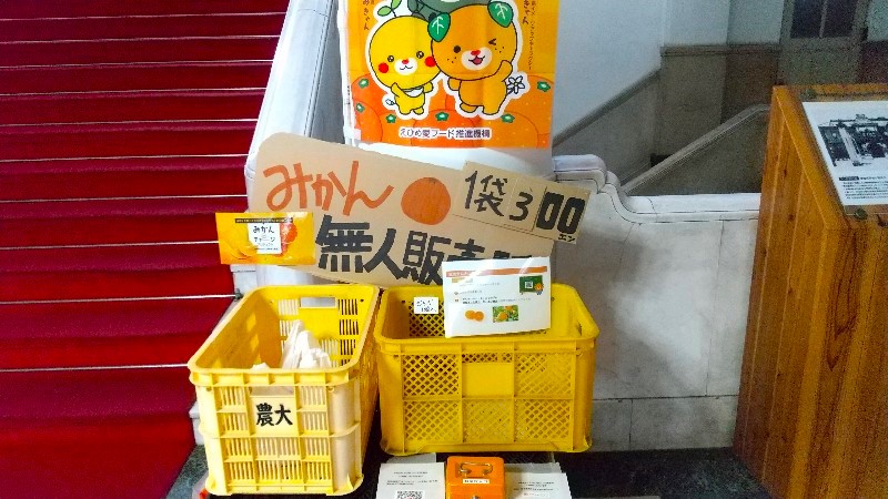 愛媛県庁本館にある、みかんの無人販売所