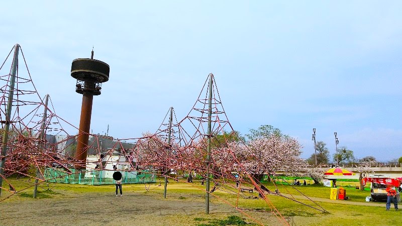 【石手川緑地公園の桜】松山市のお花見おすすめスポット、子どもが遊べる公園遊具、小栗1丁目地区の公園『ザイルクライミング』