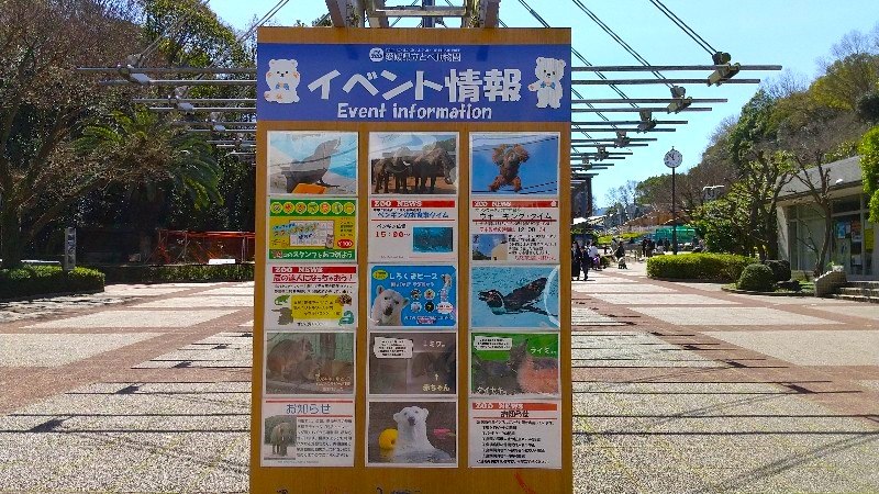 愛媛県立とべ動物園の入口、イベント情報