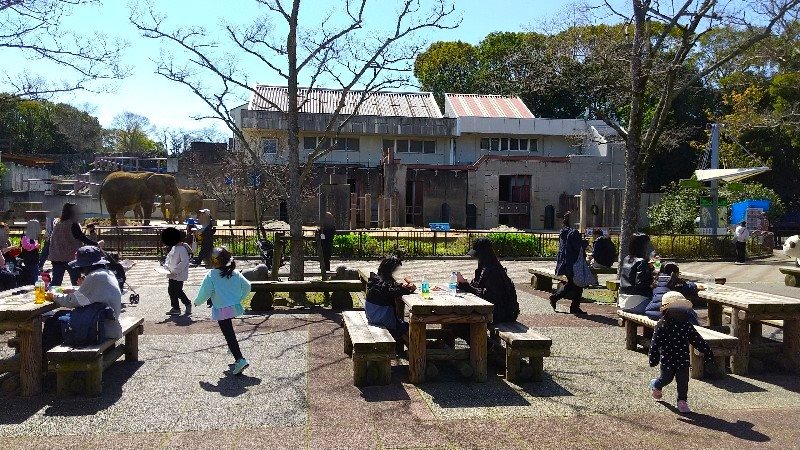 愛媛県立とべ動物園「展望レストラン SKY GARDEN」の周辺、アフリカゾウ舎の前、ランチ・軽食、子連れにおすすめ