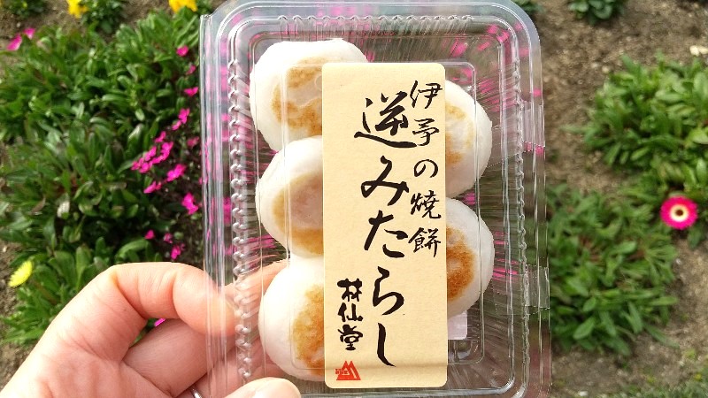 林仙堂(りんせんどう)で購入したお菓子の口コミ・レビュー、「伊予の焼餅　逆みたらし」