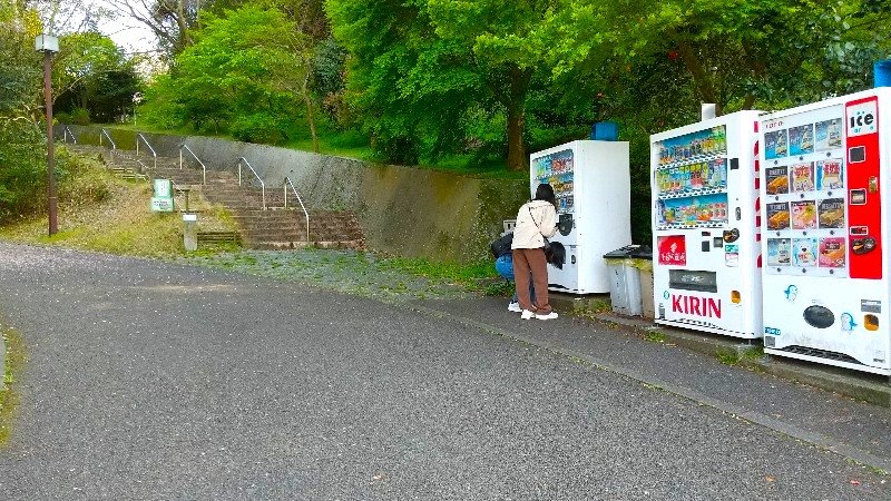 松山総合公園の「展望台」「ちびっこ広場・花見広場」への行き方、口コミ・レビュー