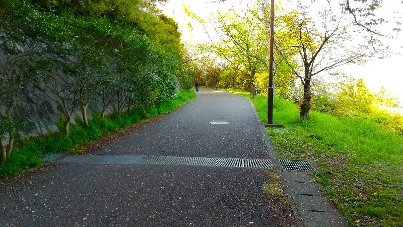 松山総合公園の「展望台（お城・塔）」への行き方、口コミ・レビュー