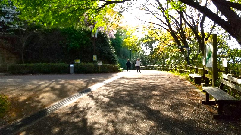 松山総合公園の「展望台（お城・塔）」への行き方、口コミ・レビュー
