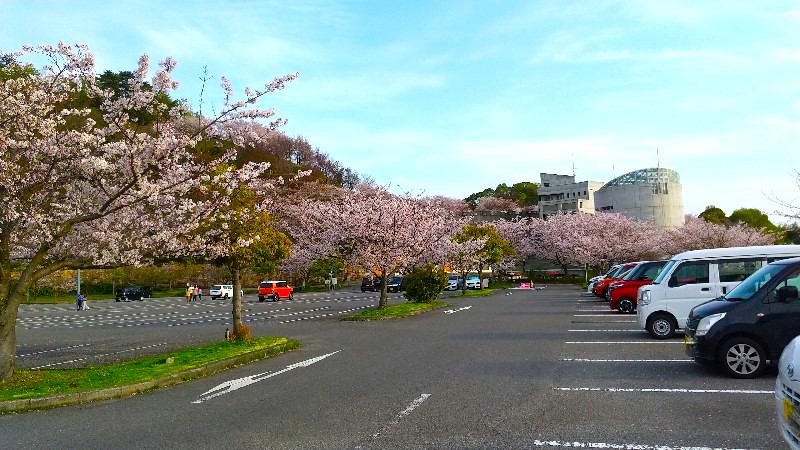 松山総合公園の第３駐車場、散歩コース、口コミ・レビュー