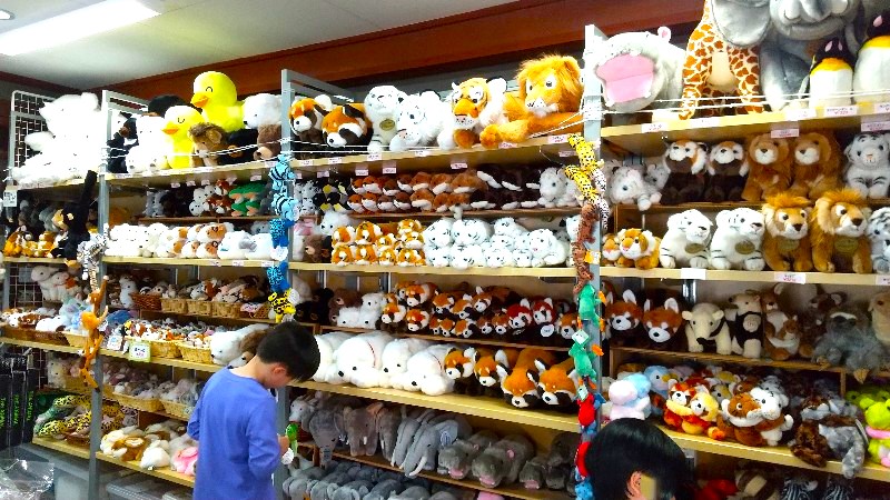 愛媛県立とべ動物園の売店写真、コンビニの前売り券を購入でとべ動物園内の売店で利用できる10％割引のクーポン付、クチコミ・レビュー