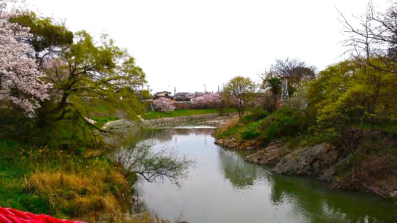 松山市、石手川に架かる赤い吊り橋「岩堰橋」から見た、石手川の下流、口コミ・レビュー