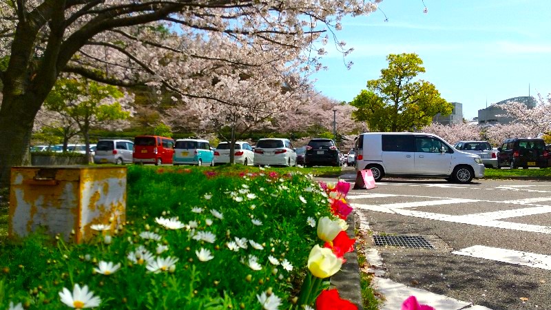 松山総合公園、第3駐車場、無料駐車場のレビュー・口コミ