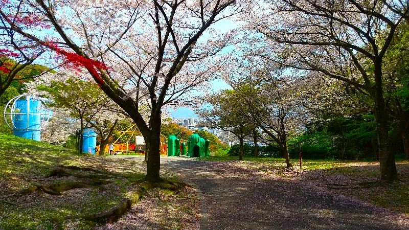 松山総合公園「坊ちゃん夢ランド」子ども向け遊具の写真、口コミ・レビュー
